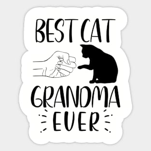 Best Cat Grandma Ever Funny Grandma Cat Lover Sticker